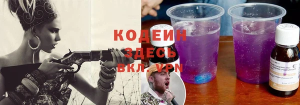 шишки Краснослободск