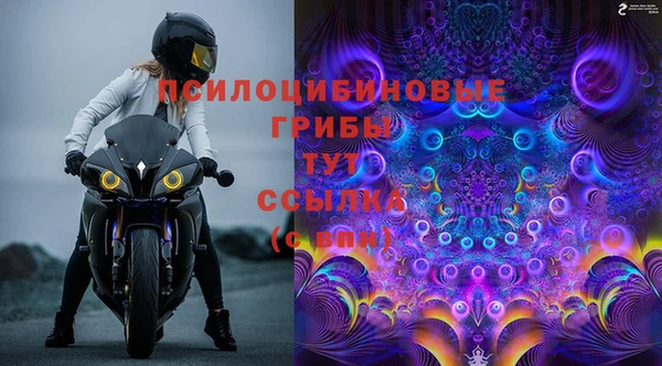 Альфа ПВП Кукмор