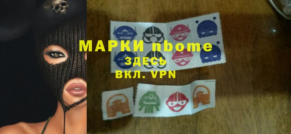 шишки Краснослободск