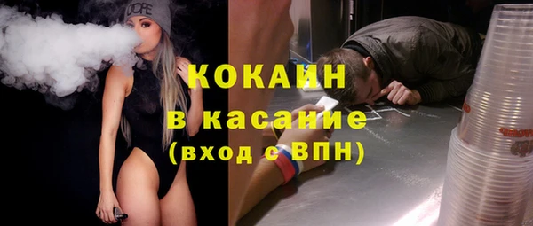 шишки Краснослободск