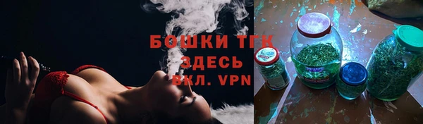 шишки Краснослободск