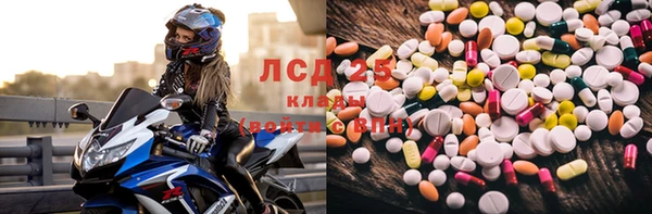 шишки Краснослободск